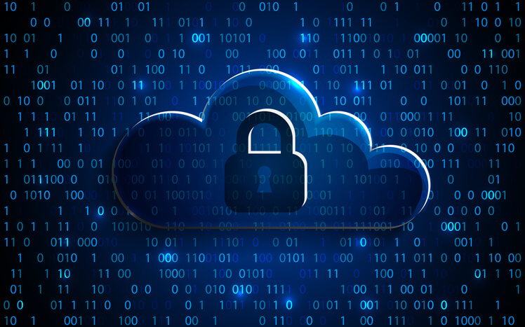 Cloud Security, a Shared Responsibility Model